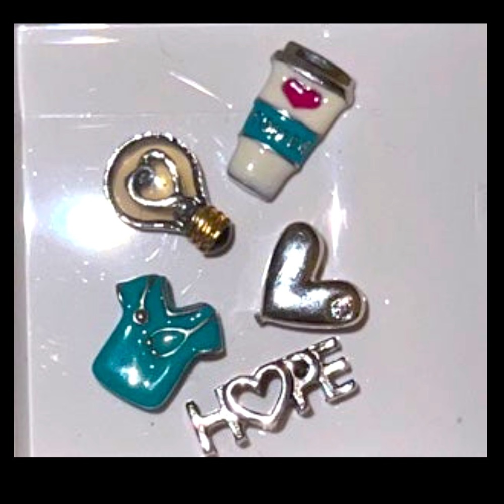 Origami Owl Charms can sell together or sep. Price varies will include dusters.